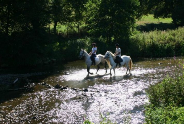  Caballo en el arroyo 